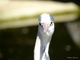 Tiergarten Schönbrunn am 23.03.2023